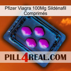 Pfizer Viagra 100Mg Sildénafil Comprimés 04